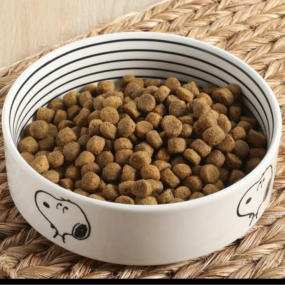 Peanuts White Ceramic Pet Bowls with Snoopy & Friends